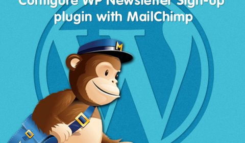 WP-Newsletter-Sign-up-plugin