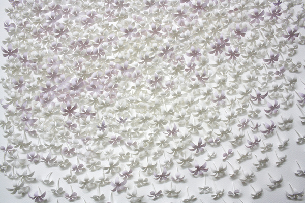 Sachin Tekade 3d paper models flowers