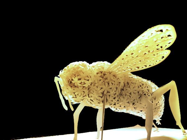 Sachin Tekade 3d paper models fly
