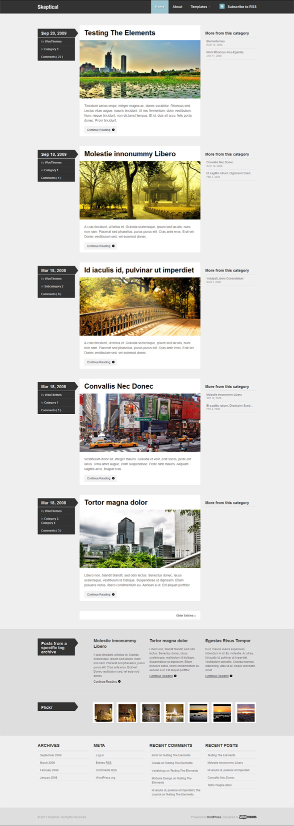 wp skeptical theme