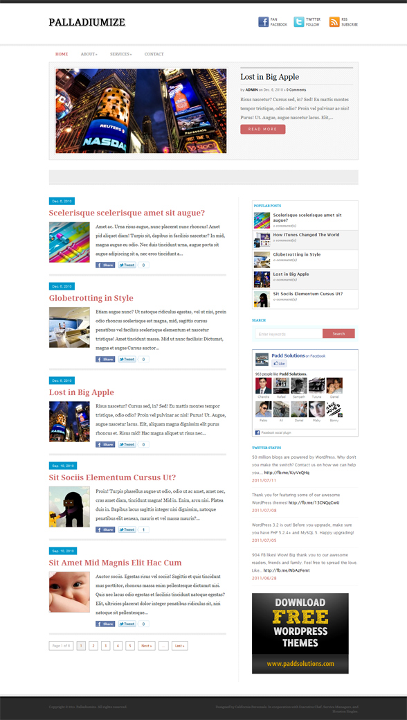 wp web palladiumize theme