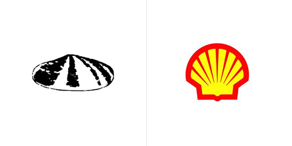 Shell logo evolution