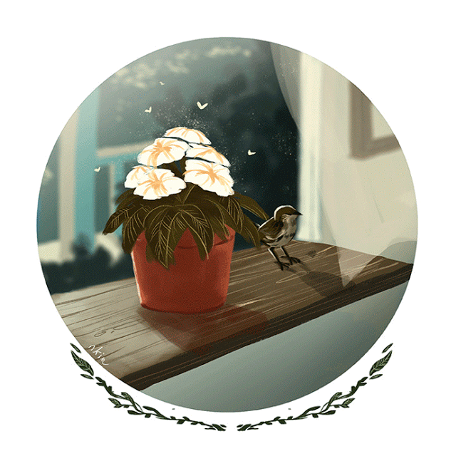 nadia-kim-flowerboy-1-7