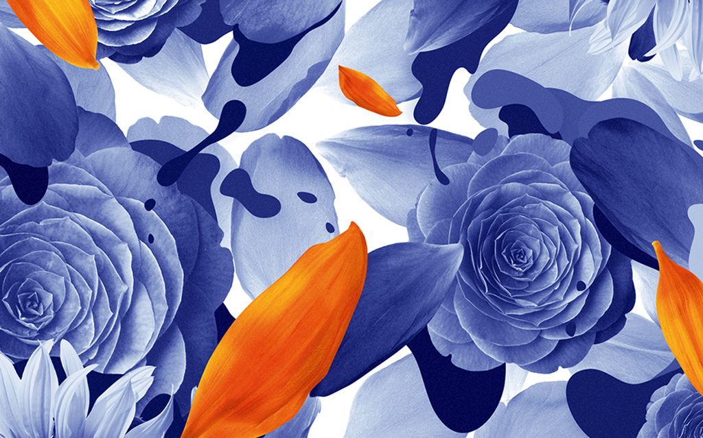 design-inspiration-daniel-forero-2