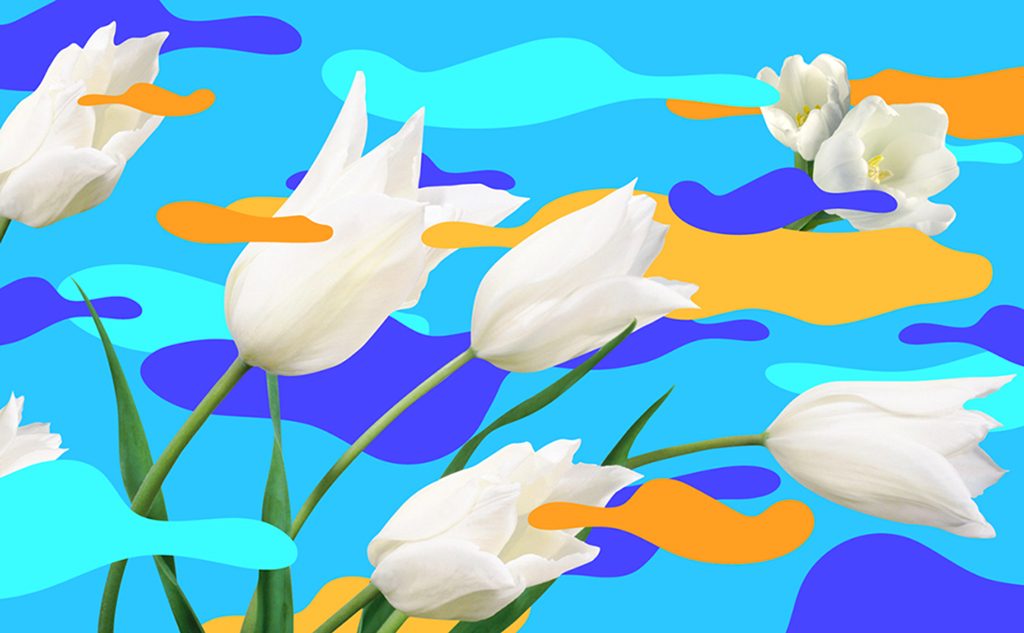 design-inspiration-daniel-forero-4