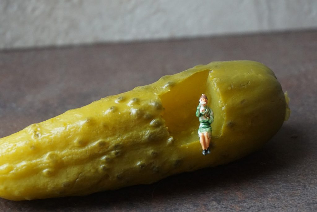 Different-Shades-of-Green-Pickle