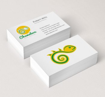 019-Chameleon-Logo-&-Business-Card-Template