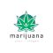Marijuana-Leaf-Logo-Template