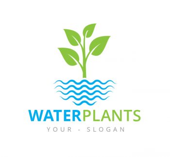 Water Plants Logo & Business Card Template