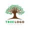Tree-Logo