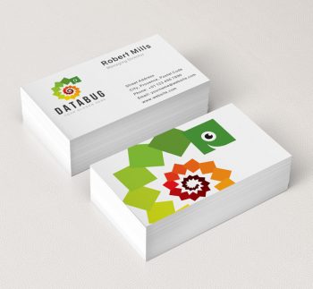 Data-Bug-Business-Card-Mockup