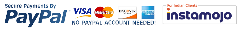 Paypal-Secured-Payment