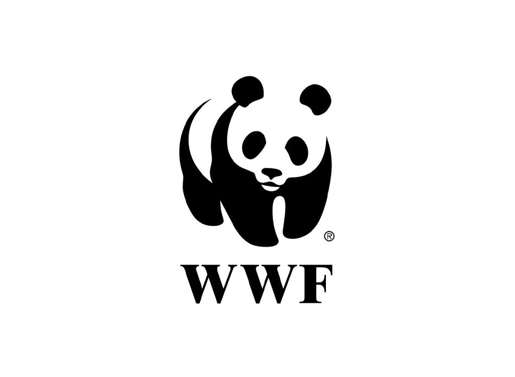 Features-of-a-Good-Logo-Design-04