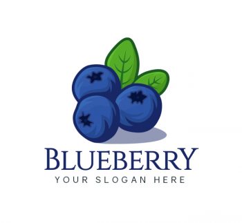 Blueberry Logo & Business Card
