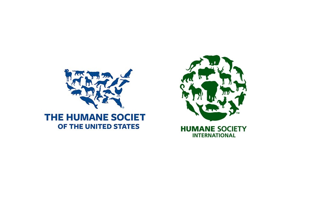 Logo Designs 04