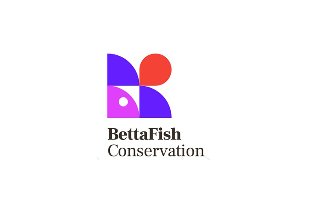 Logo Designs 18
