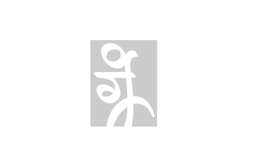 Logo Designs 21
