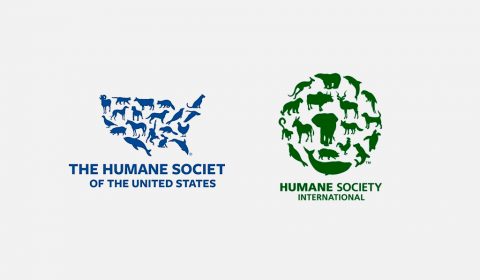 Best-NGO-Logo-Designs-for-Inspiration