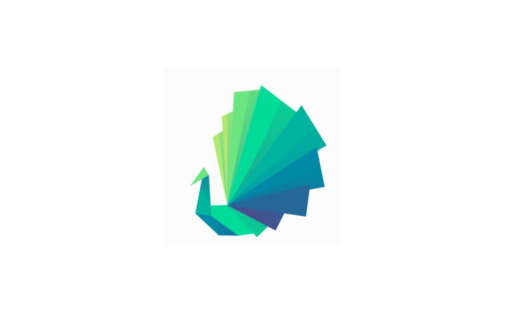 Logo Designs 5