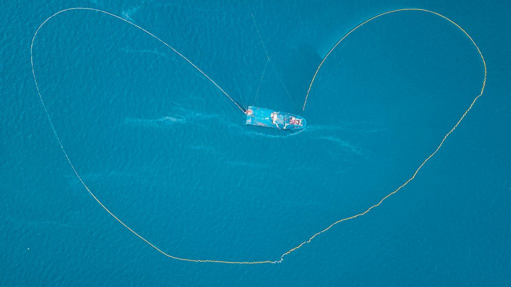 Shades-of-Blue-Cerulean-Blue