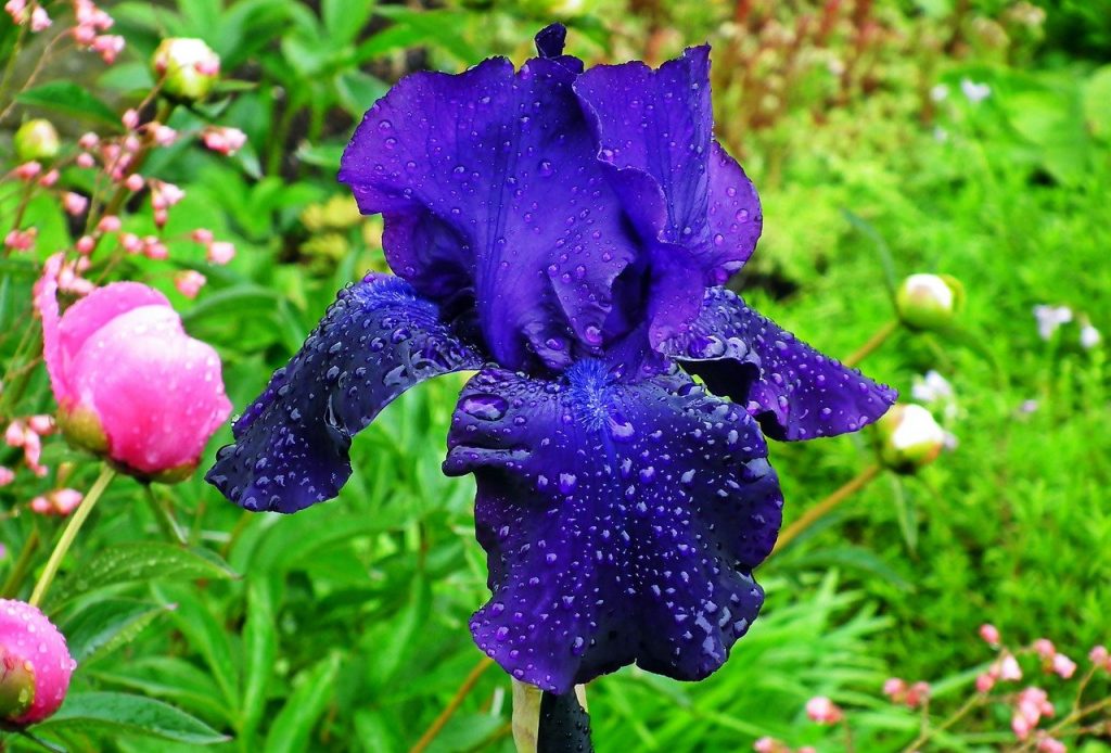 Shades-of-Blue Navy Blue