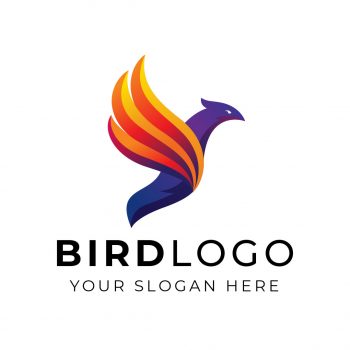 Flying Bird Logo & Business Card