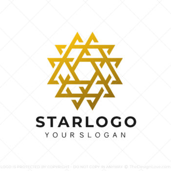 Abstract Star Logo & Business Card